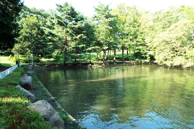 DSCF0374