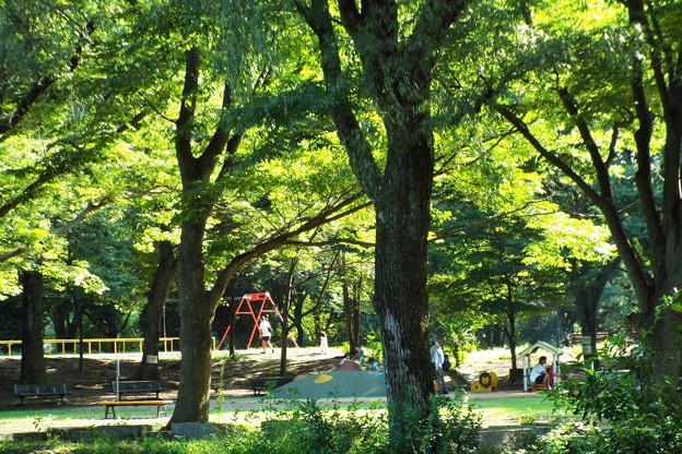 DSCF0428