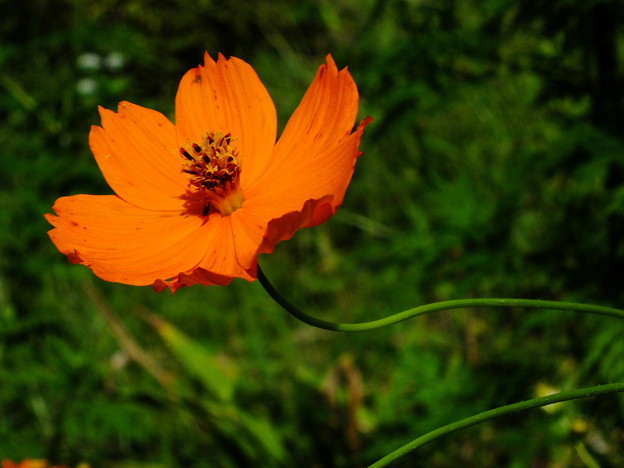 DSCF0381
