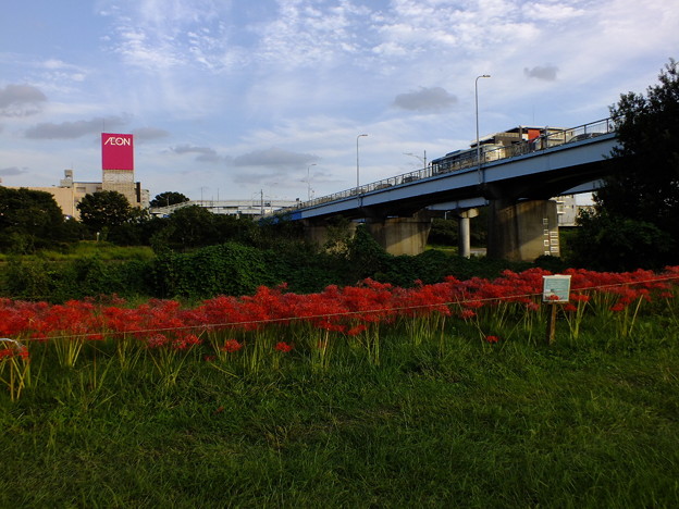 DSCF0710