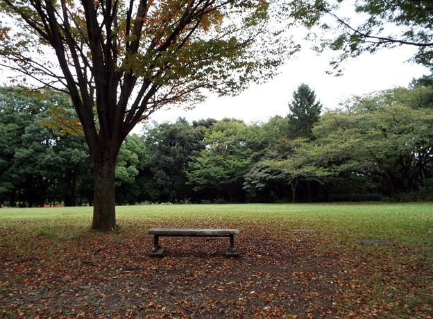 DSCF0669