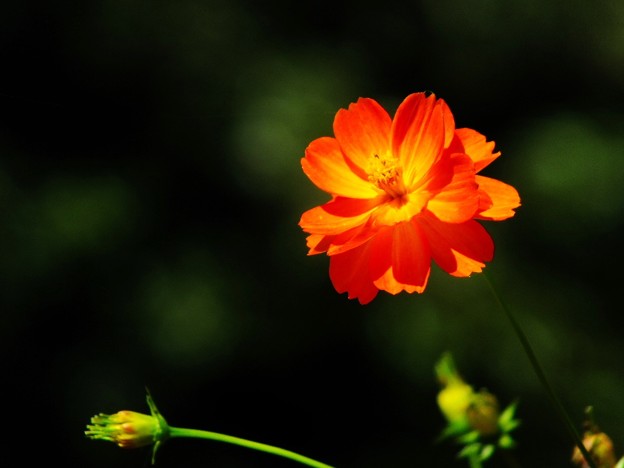 DSCF0032
