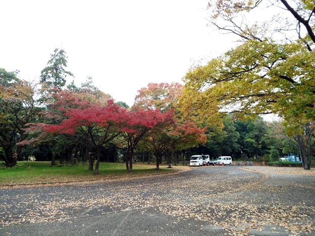 DSCF0083