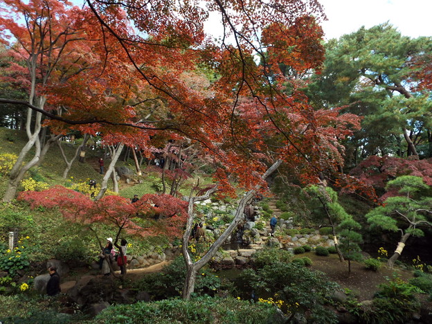 DSCF0112