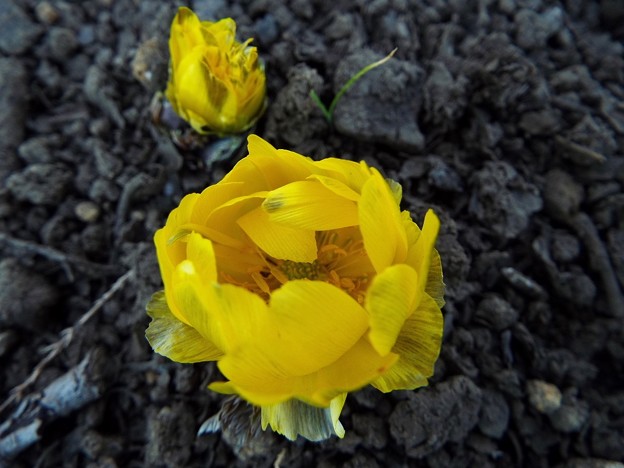 DSCF0054