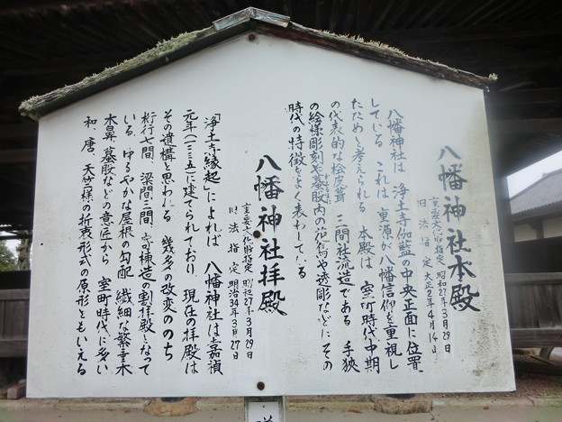 CIMG3554