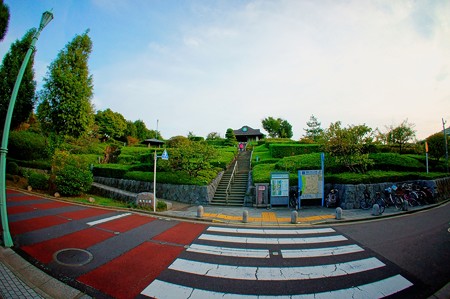 柴又公園