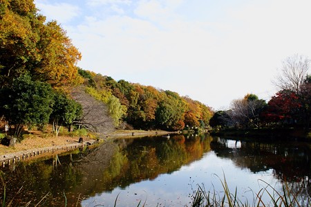 じゅんさい池緑地
