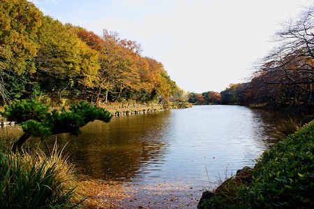 じゅんさい池緑地