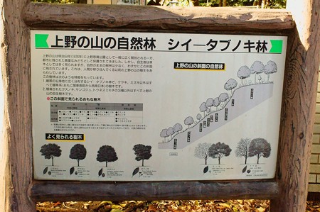 上野の山の自然林　案内板