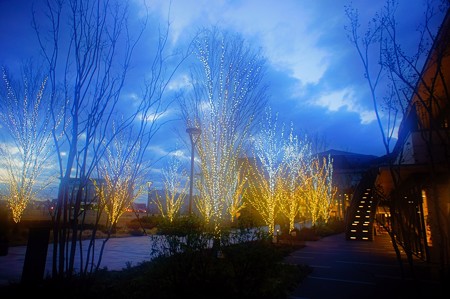 Foggilizer illumination
