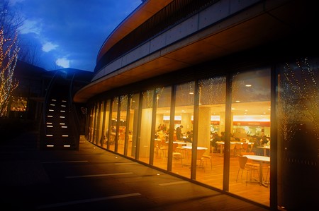 Foggilizer illumination