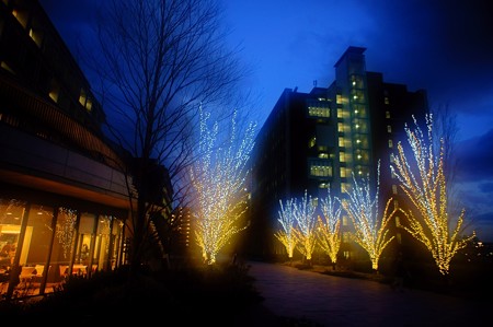 Foggilizer illumination