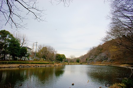 じゅんさい池緑地