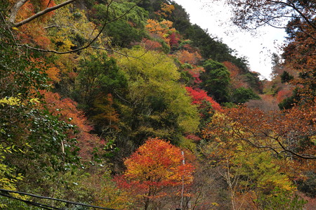 赤目渓谷の紅葉