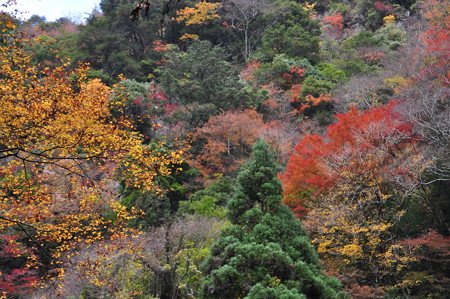 赤目渓谷の紅葉
