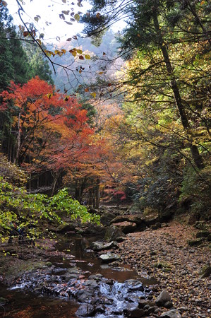 赤目渓谷の紅葉