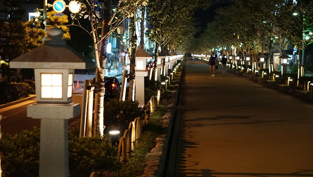 DSC03945