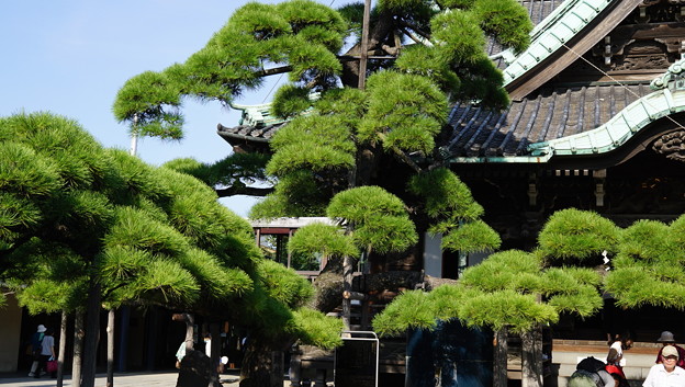 下町 柴又・亀有散歩26