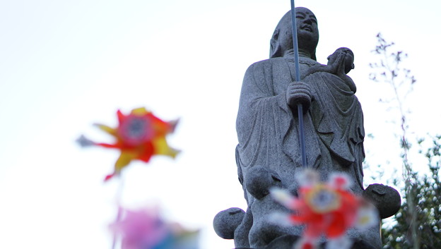 常泉寺(花寺・大和)8