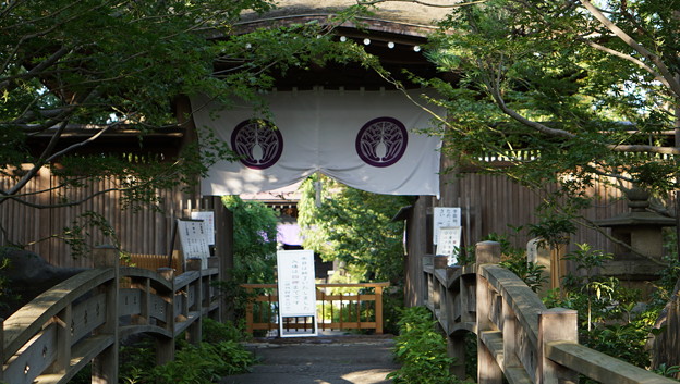 常泉寺(花寺・大和)28