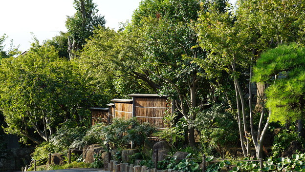 常泉寺(花寺・大和)30