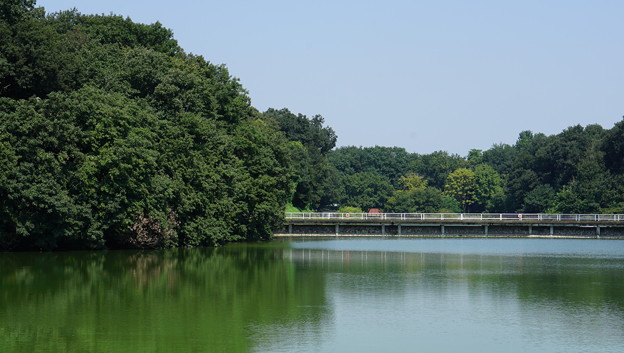 国営武蔵丘陵森林公園1