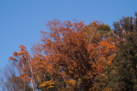 PICT0031