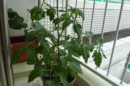 P1010020