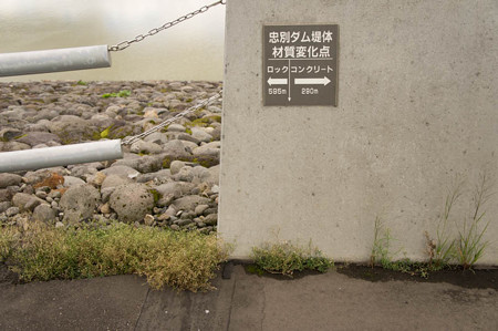 堤体