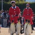 20171223 長崎ペンギン水族館27