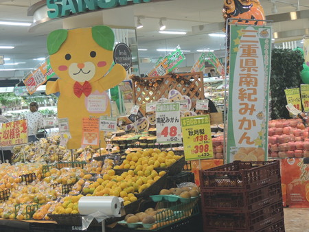三重県南紀みかん。