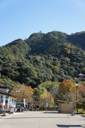 DSC06440