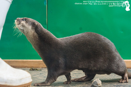 tokyowildlife140920112
