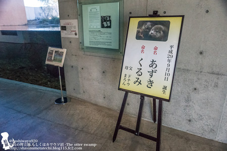 fukushima171218001