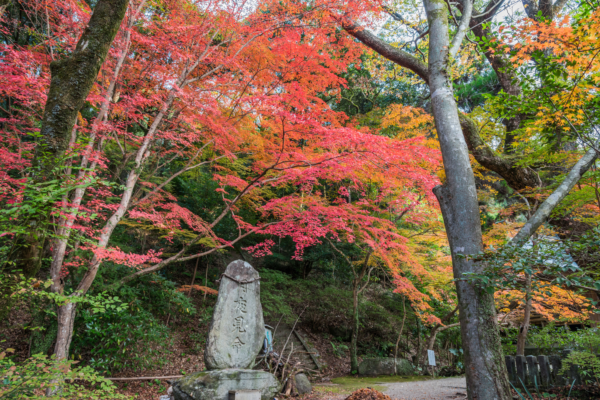 仁比山神社-月夜見命塔_2014.11.20