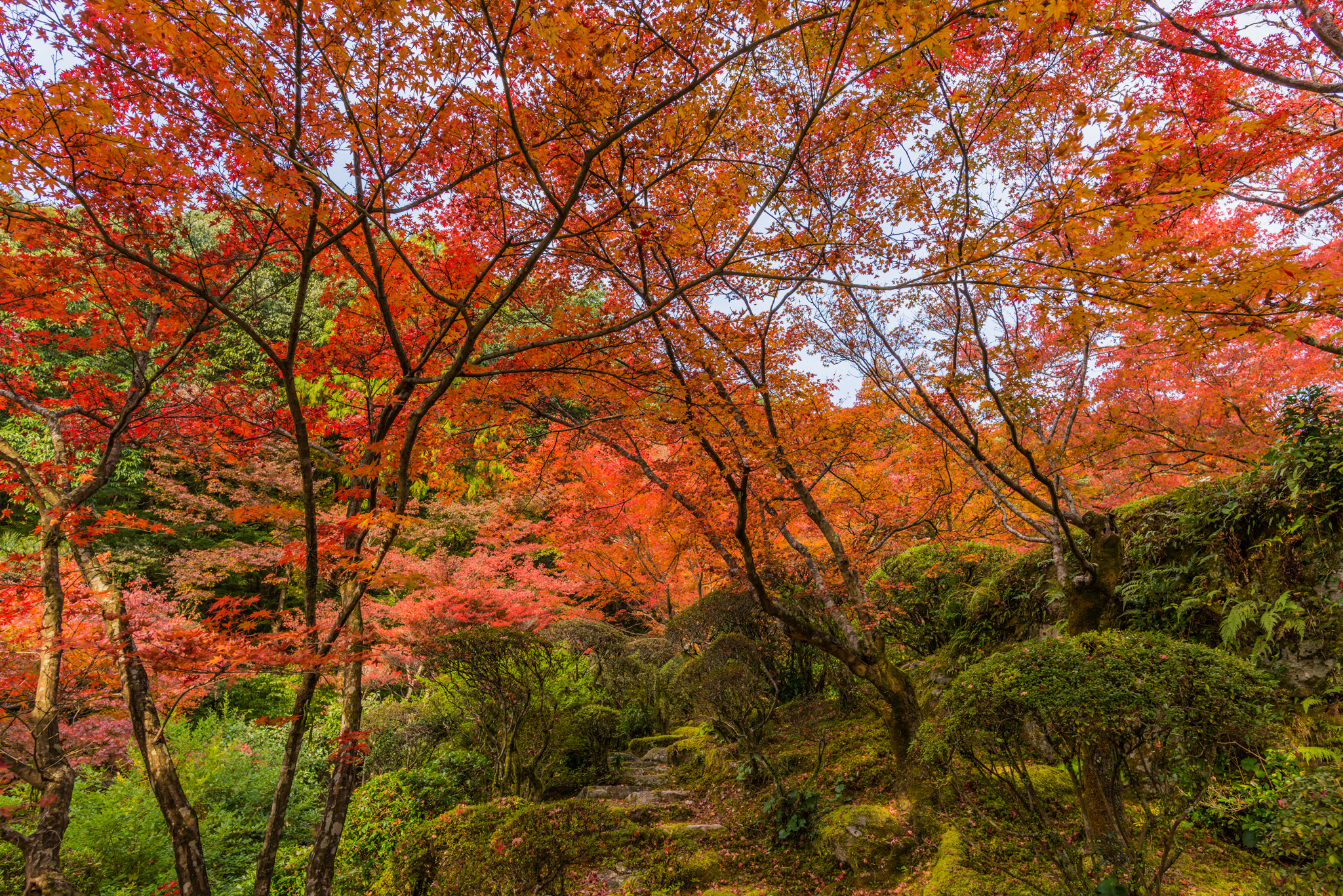 九年庵-主屋への道_2014.11.20