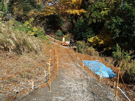 白糸の滝へ続く仮歩道