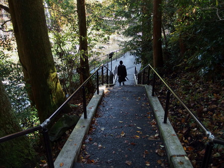 白糸の滝へ道