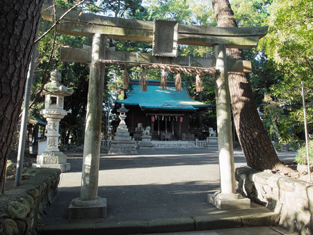 宗像神社 拝殿前