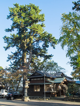 宗像神社 社務所