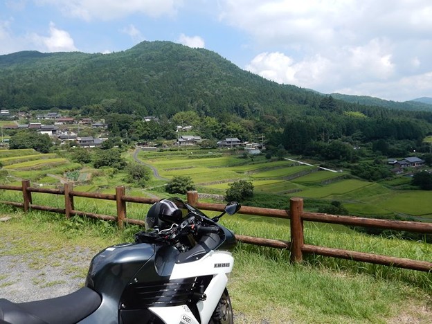 11坂折の棚田 写真: 11坂折の棚田