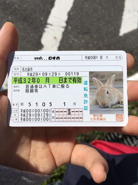 免許取得 写真: 免許取得