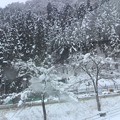 Photos: 郡上八幡冬景色。