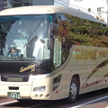 観光バス左側面での「天然のラッピング」