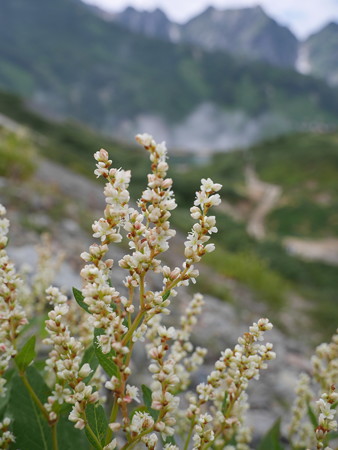 P1000627