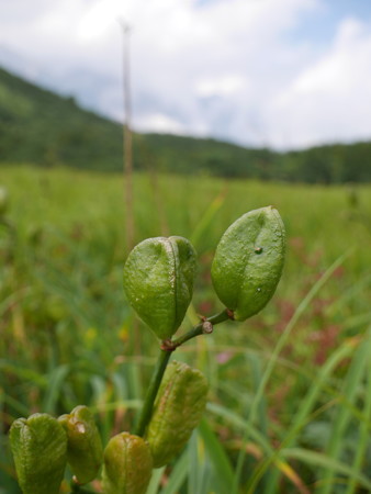 P1000650