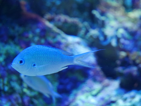0_P1000686