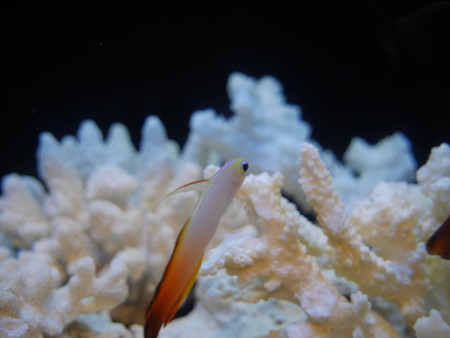 0_P1000691