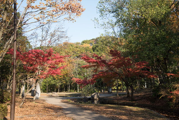 【ささぶねの道】紅葉_B1